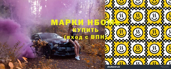 твердый Ельня