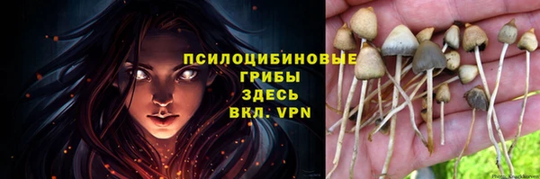 мдпв Заволжье