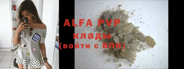 дживик Елабуга