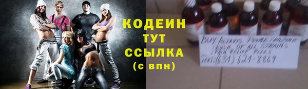 дживик Елабуга