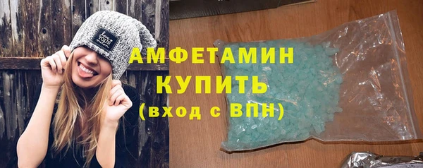 твердый Ельня