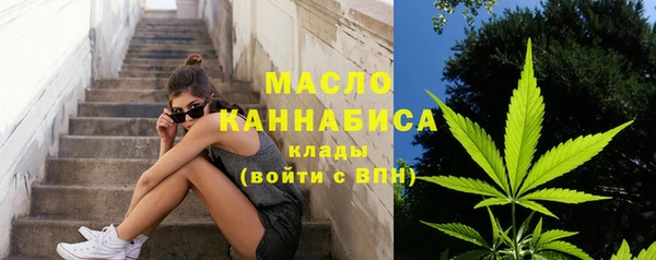 дживик Елабуга